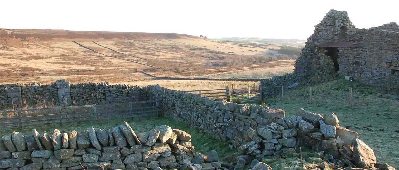 Philip Wayre Upland Trust