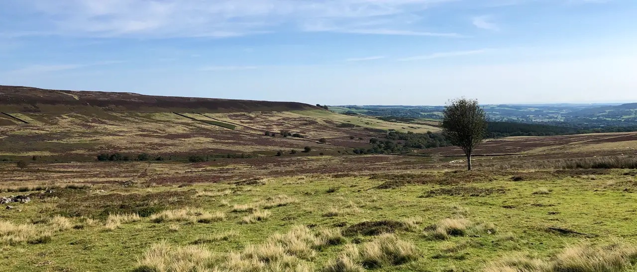 Philip Wayre Upland Trust